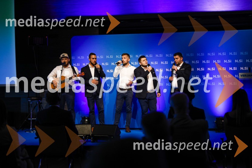 Il Divji20 let stranke Nova Slovenija