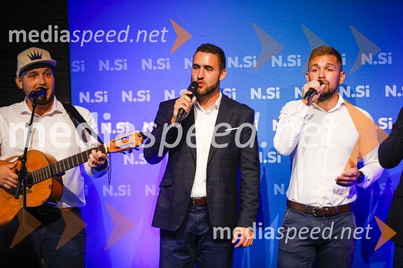 Il Divji20 let stranke Nova Slovenija