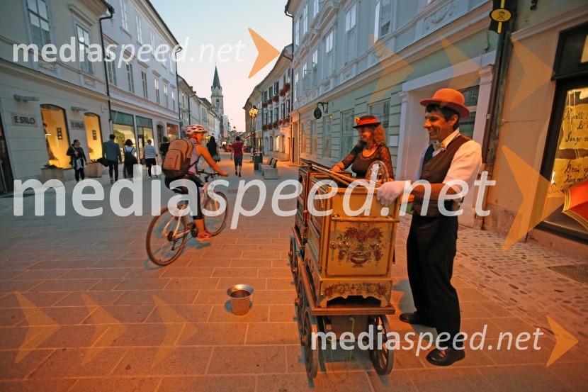 Zaključek Prešernega poletja v Kranju