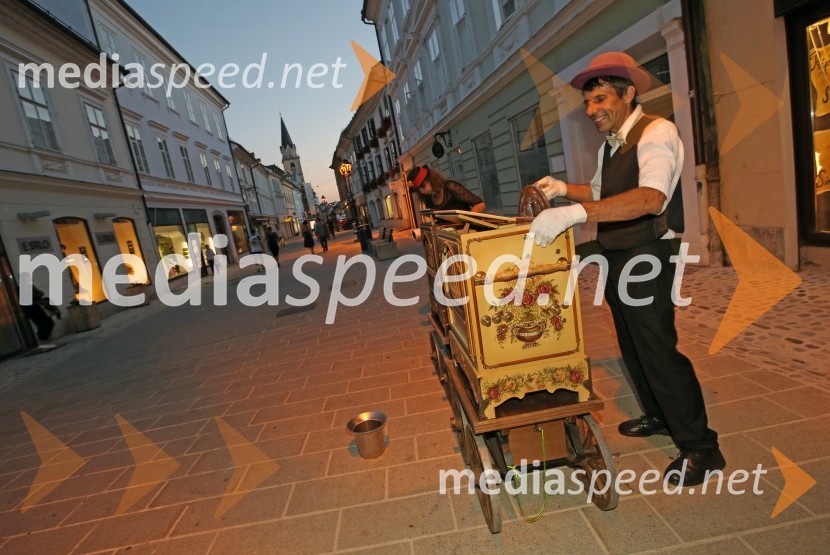 Zaključek Prešernega poletja v Kranju