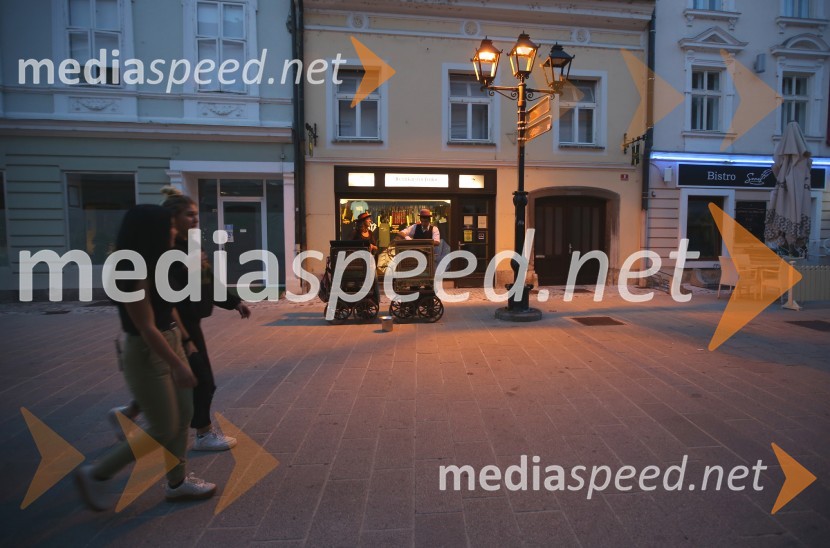 Zaključek Prešernega poletja v Kranju