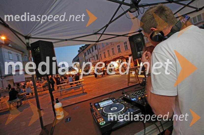 Zaključek Prešernega poletja v Kranju