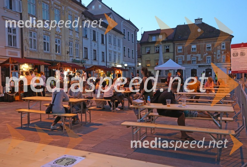 Zaključek Prešernega poletja v Kranju