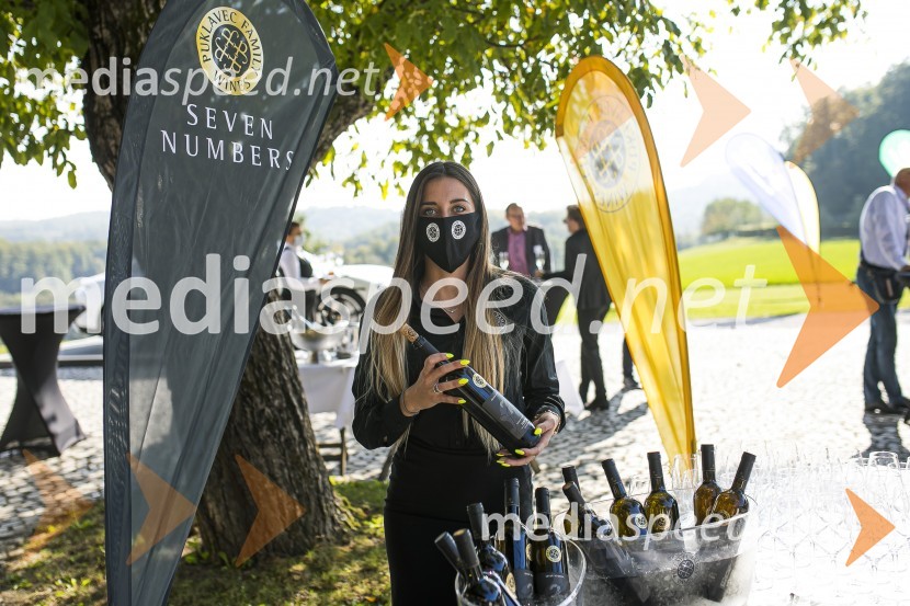 Sommerfest 2020, tradicionalno druženje članov Slovensko-nemške gospodarske zbornice na Posestvu Pule