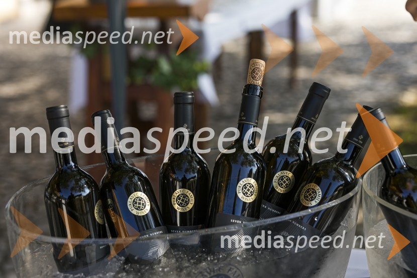 Sommerfest 2020, tradicionalno druženje članov Slovensko-nemške gospodarske zbornice na Posestvu Pule