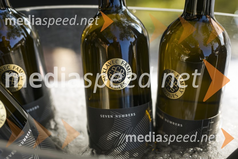 Sommerfest 2020, tradicionalno druženje članov Slovensko-nemške gospodarske zbornice na Posestvu Pule