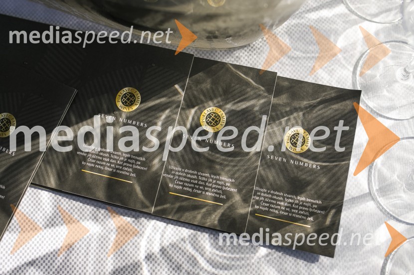 Sommerfest 2020, tradicionalno druženje članov Slovensko-nemške gospodarske zbornice na Posestvu Pule