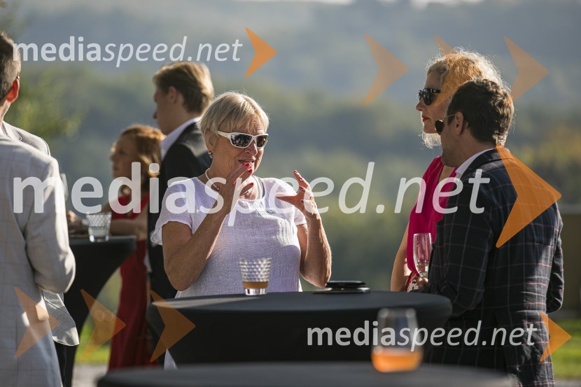 Sommerfest 2020, tradicionalno druženje članov Slovensko-nemške gospodarske zbornice na Posestvu Pule