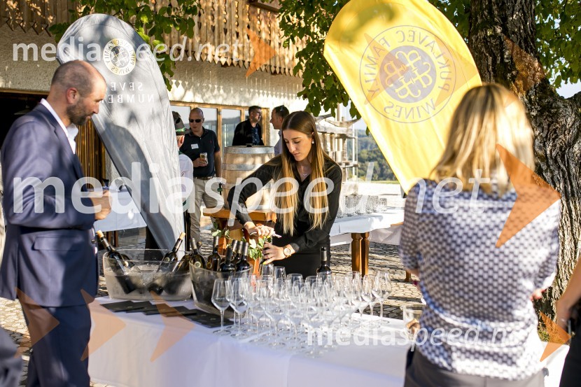 Sommerfest 2020, tradicionalno druženje članov Slovensko-nemške gospodarske zbornice na Posestvu Pule