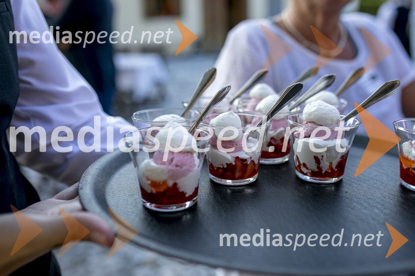 Sommerfest 2020, tradicionalno druženje članov Slovensko-nemške gospodarske zbornice na Posestvu Pule