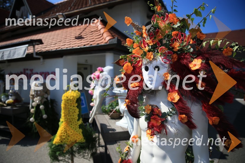 65 let hortikulturnega ustvarjanja Cvetličarne Aralija