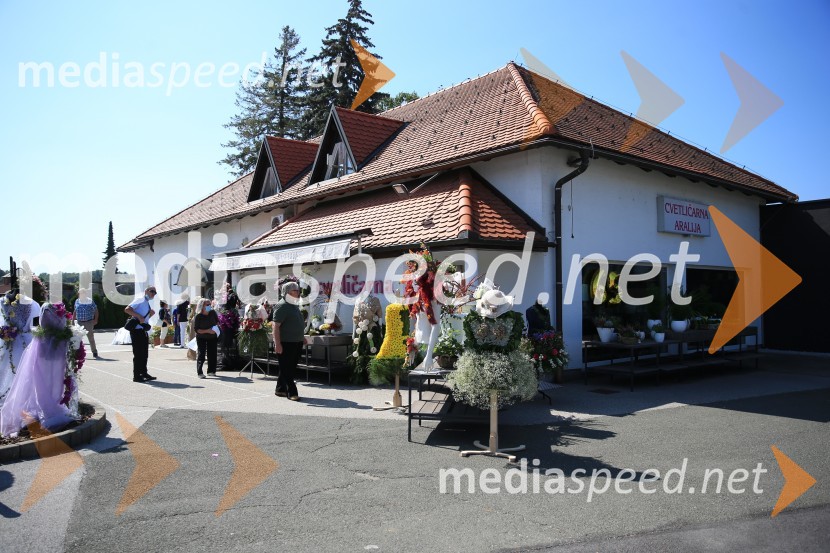 65 let hortikulturnega ustvarjanja Cvetličarne Aralija