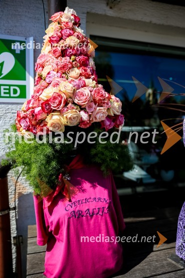 65 let hortikulturnega ustvarjanja Cvetličarne Aralija