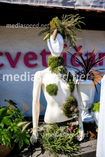 65 let hortikulturnega ustvarjanja Cvetličarne Aralija