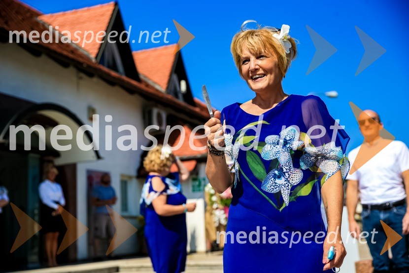  Darja Rus65 let hortikulturnega ustvarjanja Cvetličarne Aralija