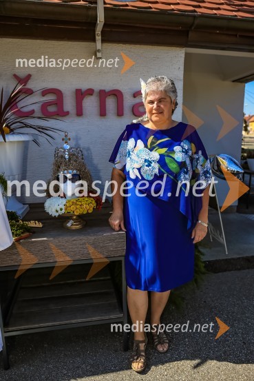 65 let hortikulturnega ustvarjanja Cvetličarne Aralija