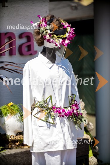 65 let hortikulturnega ustvarjanja Cvetličarne Aralija