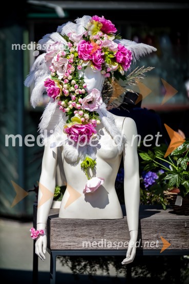 65 let hortikulturnega ustvarjanja Cvetličarne Aralija