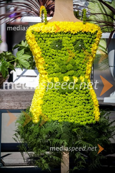 65 let hortikulturnega ustvarjanja Cvetličarne Aralija