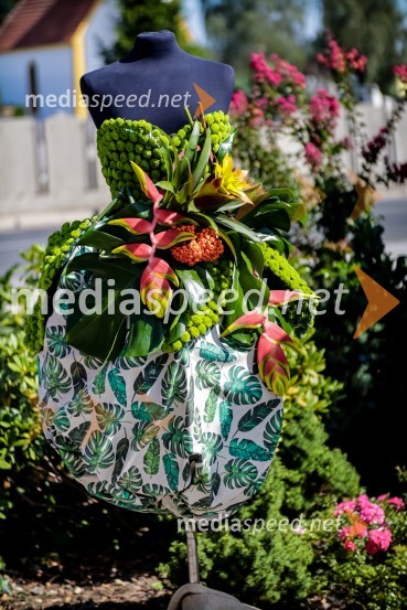 65 let hortikulturnega ustvarjanja Cvetličarne Aralija