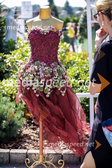 65 let hortikulturnega ustvarjanja Cvetličarne Aralija