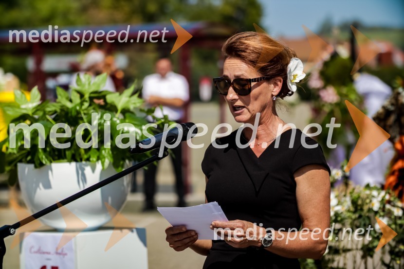 65 let hortikulturnega ustvarjanja Cvetličarne Aralija