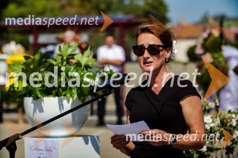 65 let hortikulturnega ustvarjanja Cvetličarne Aralija