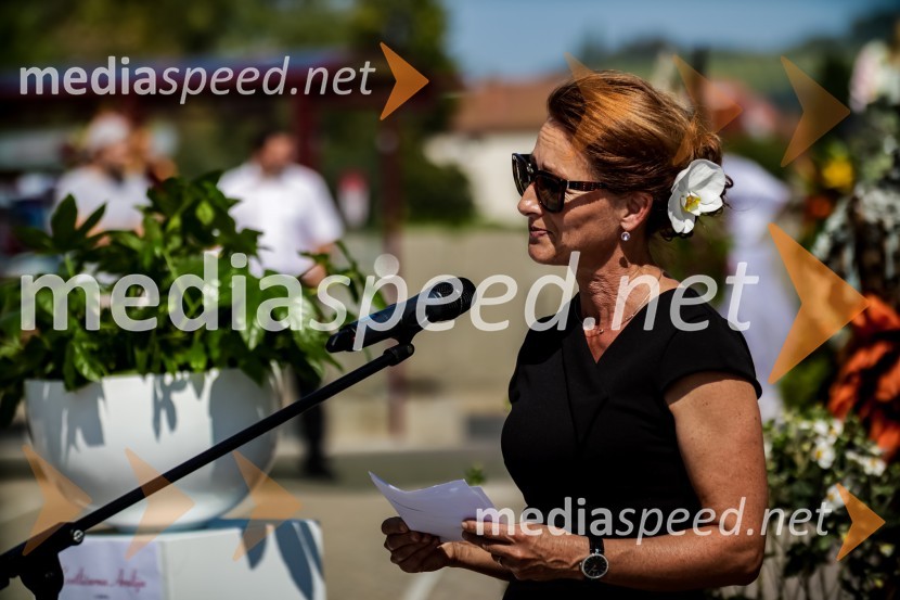 65 let hortikulturnega ustvarjanja Cvetličarne Aralija