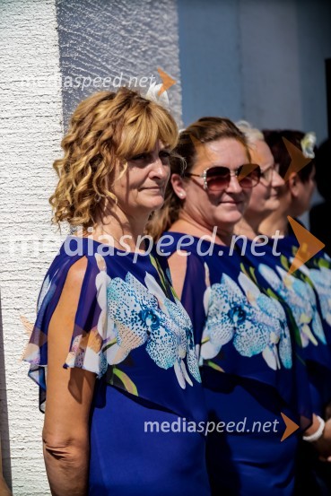 65 let hortikulturnega ustvarjanja Cvetličarne Aralija