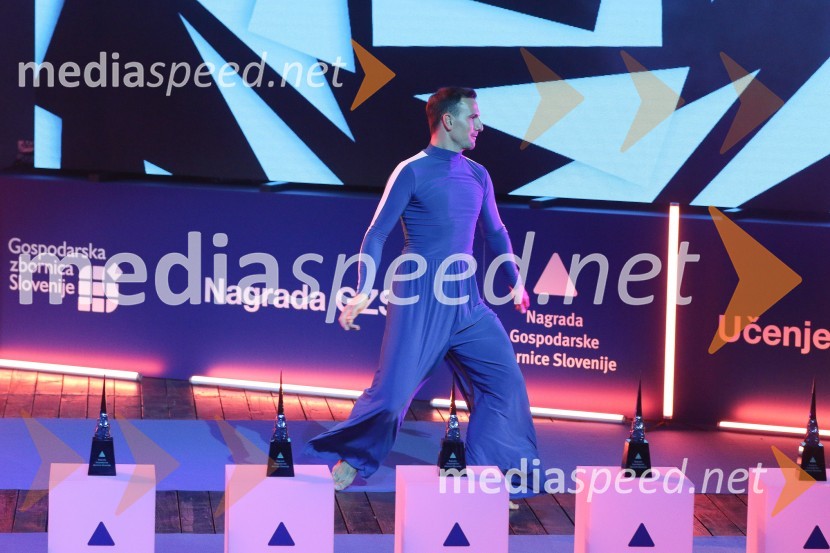 52. podelitev Nagrad GZS za izjemne gospodarske in podjetniške dosežke