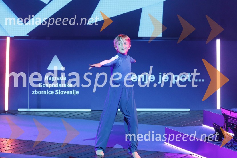 52. podelitev Nagrad GZS za izjemne gospodarske in podjetniške dosežke