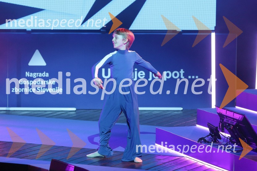 52. podelitev Nagrad GZS za izjemne gospodarske in podjetniške dosežke