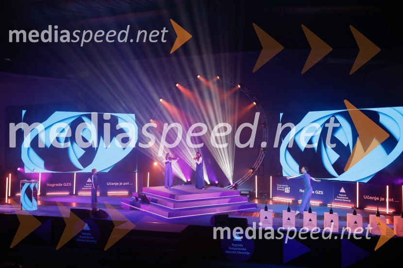 52. podelitev Nagrad GZS za izjemne gospodarske in podjetniške dosežke