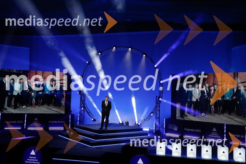  Andrej Ribič, predsednik uprave Elektro Ljubljana d.d.52. podelitev Nagrad GZS za izjemne gospodarske in podjetniške dosežke