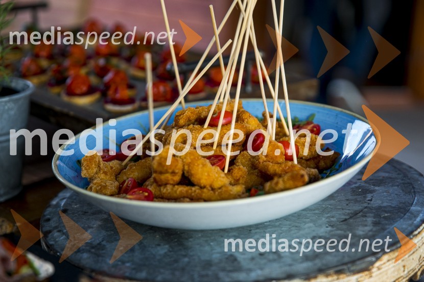 Alenka Kesar je izdala knjigo Druga žena