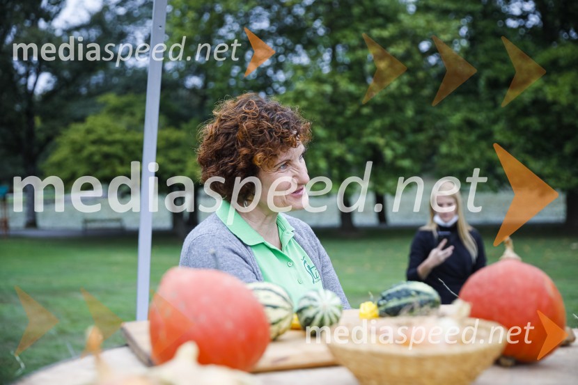 Dnevi domačih dobrot v Kranju, okrogla miza
