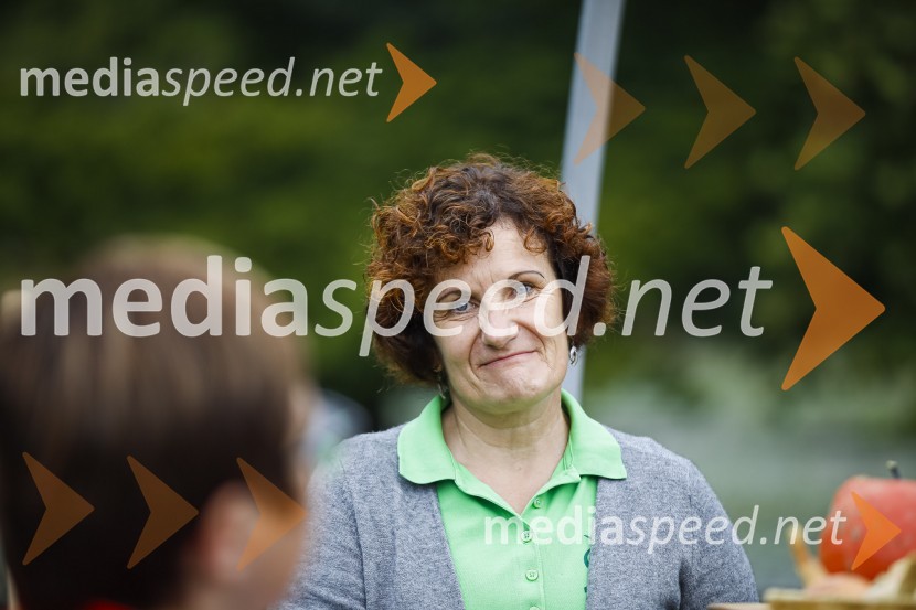 Dnevi domačih dobrot v Kranju, okrogla miza