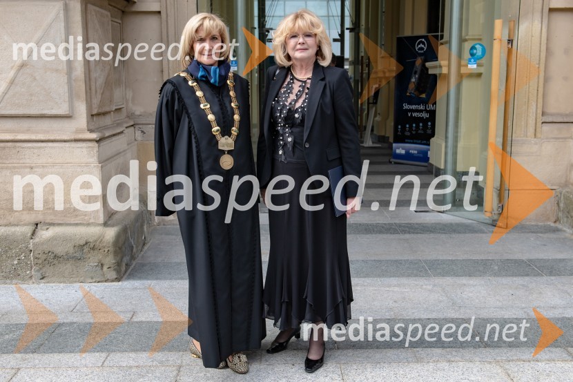  ... ; prof. dr. Jana Goriup, Filozofska fakulteta, Univerza v MariboruDan univerze v Mariboru 2020