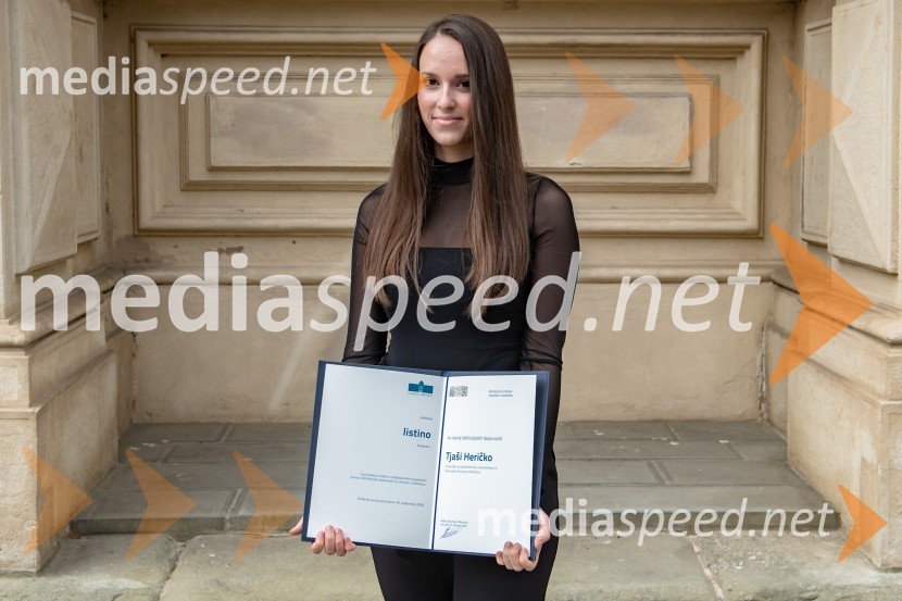 mag. inž. inf. in tehnol. kom. Tjaša Heričko, Inštitut za informatikoDan univerze v Mariboru 2020