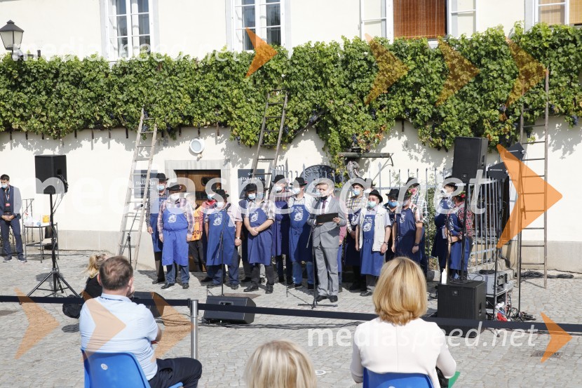 Svečana trgatev stare trte 2020