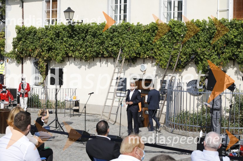 Svečana trgatev stare trte 2020