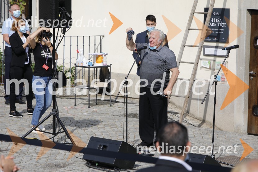 Svečana trgatev stare trte 2020