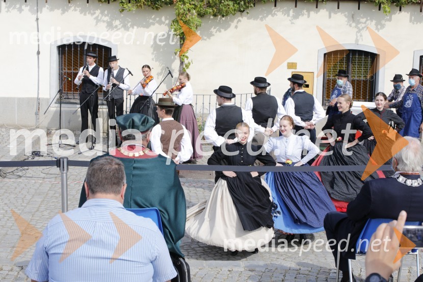 Svečana trgatev stare trte 2020