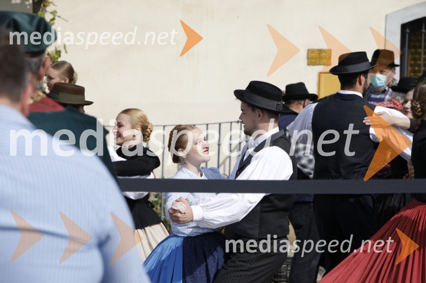 Svečana trgatev stare trte 2020