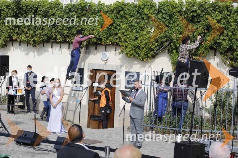 Svečana trgatev stare trte 2020