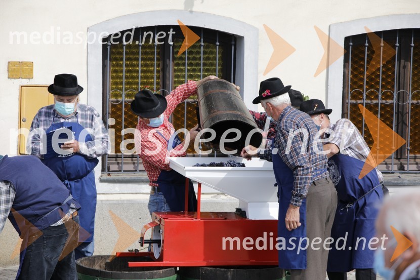 Svečana trgatev stare trte 2020