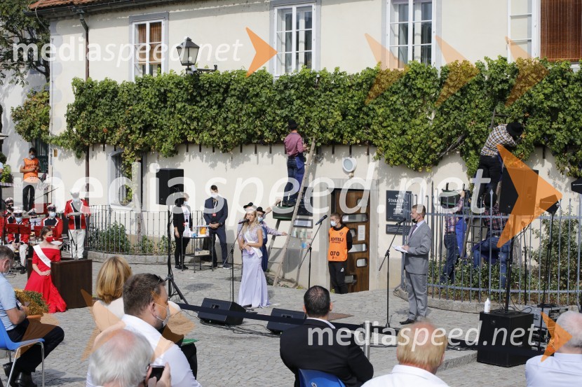 Svečana trgatev stare trte 2020