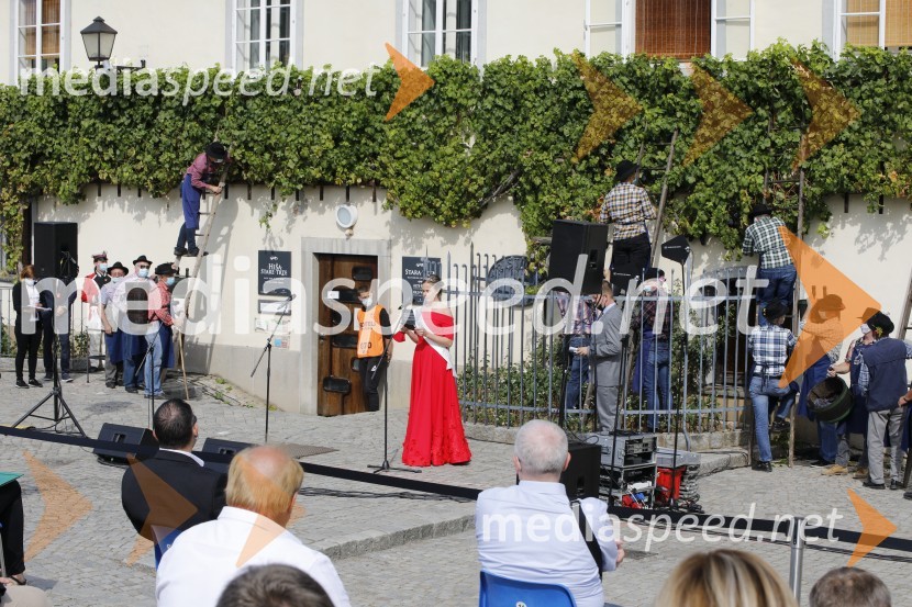  Neža Jarc, Mariborska vinska kraljica 2020Svečana trgatev stare trte 2020