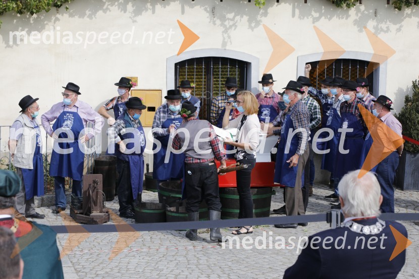 Svečana trgatev stare trte 2020