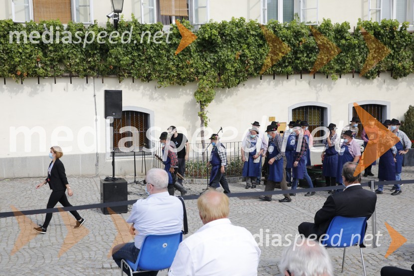 Svečana trgatev stare trte 2020